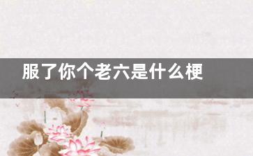 服了你个老六是什么梗 服了你个老六梗出自于哪里